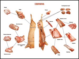 Свинина